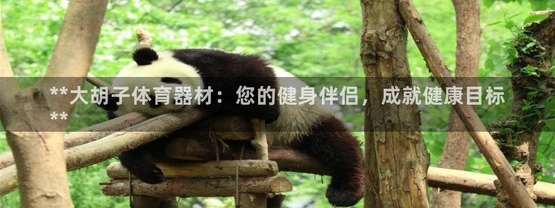 耀世娱乐平台注册地址在哪里找：**大胡子体育器材：您