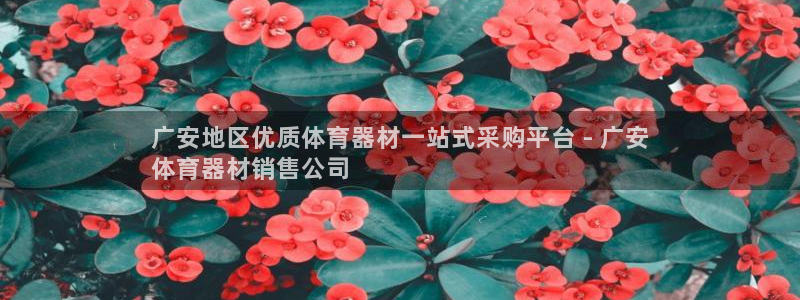耀世登场的图片：广安地区优质体育器材一站式采购平台 