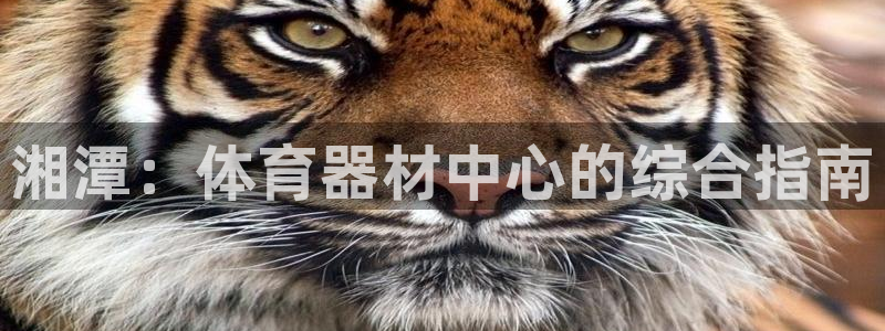 耀世娱乐平台官网入口：湘潭：体育器材中心的综合指南