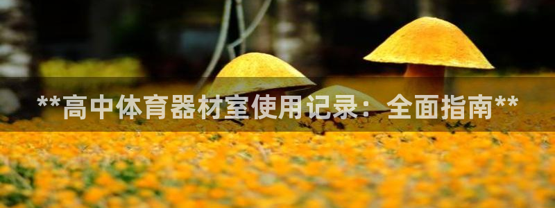 耀世平台开户流程图：**高中体育器材室使用记录：全面