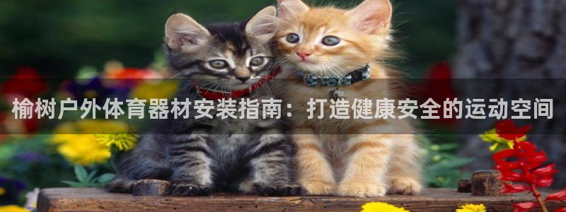 耀世平台是黑台子吗：榆树户外体育器材安装指南：打造健