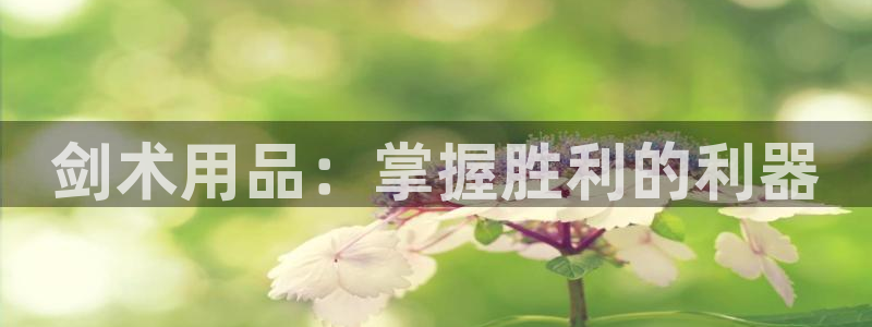耀世平台代理怎么样：剑术用品：掌握胜利的利器