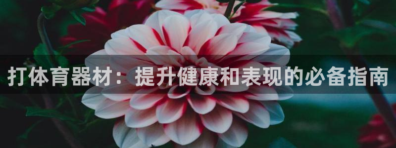 耀世平台代理怎么做：打体育器材：提升健康和表现的必备