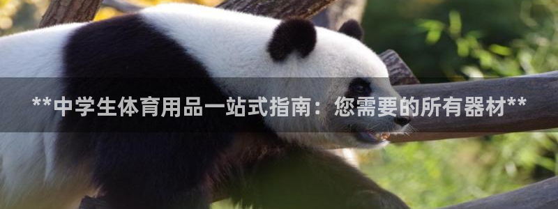 耀世娱乐总代理是谁：**中学生体育用品一站式指南：您