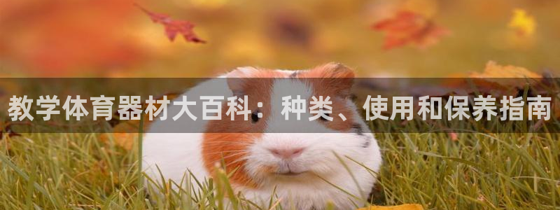 耀世平台注册流程图片：教学体育器材大百科：种类、使用