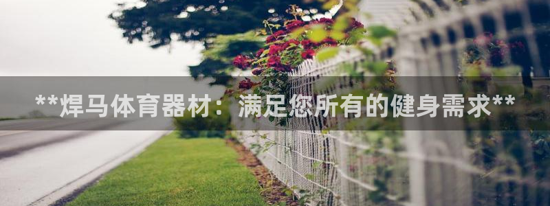 耀世平台理7O777：**焊马体育器材：满足您所有的