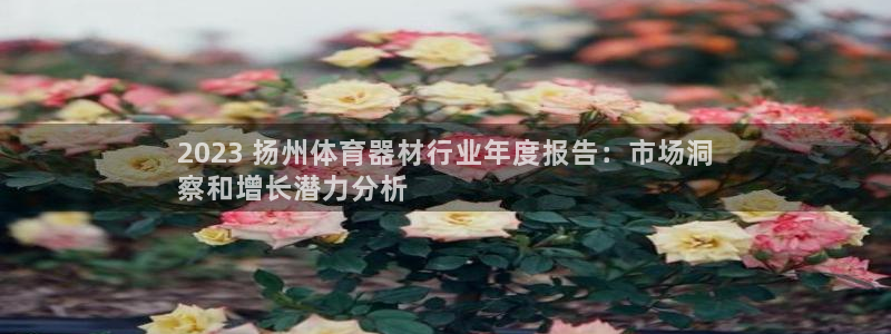 耀世娱乐网址是什么啊：2023 扬州体育器材行业年度