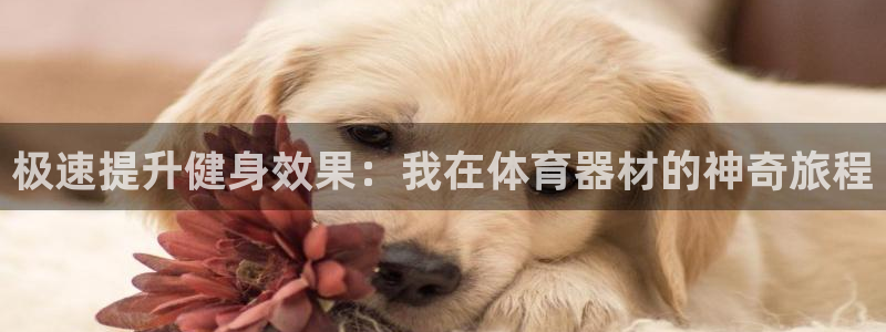 耀世娱乐软件下载：极速提升健身效果：我在体育器材的神