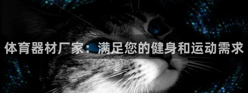 耀世登场：体育器材厂家：满足您的健身和运动需求