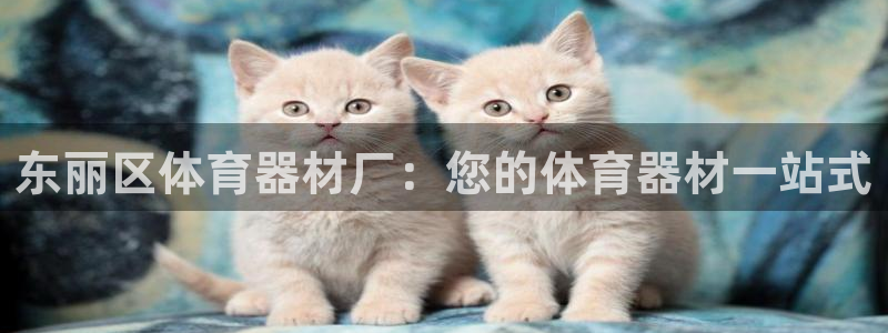 耀世平台易 411031 耀世：东丽区体育器材厂：您