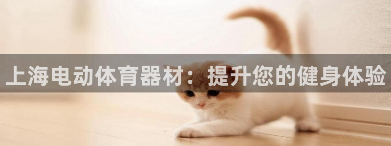 耀世天下是什么意思啊：上海电动体育器材：提升您的健身
