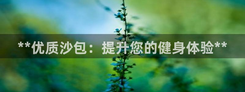 耀世平台易 411031 耀世：**优质沙包：提升您
