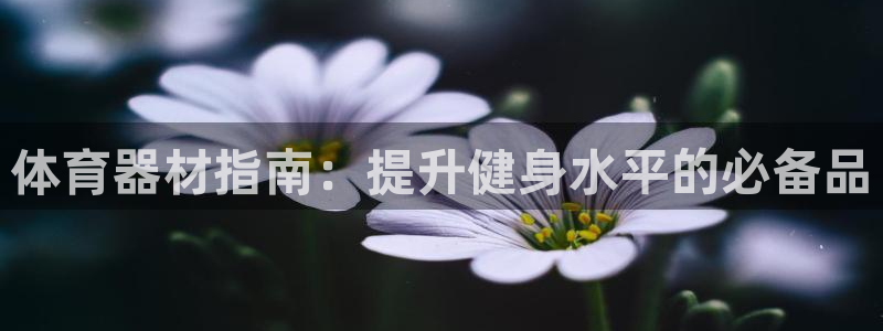 耀世金生产品介绍：体育器材指南：提升健身水平的必备品