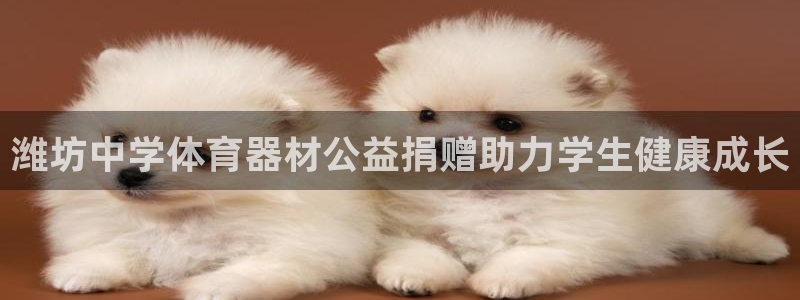 耀世天下：潍坊中学体育器材公益捐赠助力学生健康成长