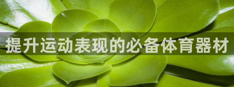 耀世广告：提升运动表现的必备体育器材