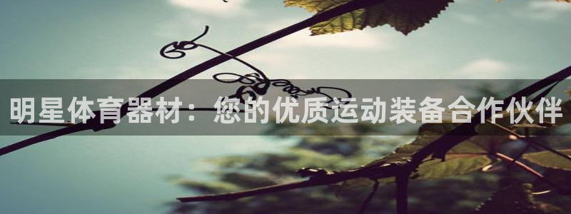 耀世平台有很多登录地址：明星体育器材：您的优质运动装