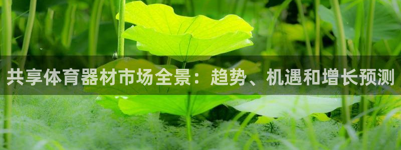 耀世登场之类的广告词：共享体育器材市场全景：趋势、机