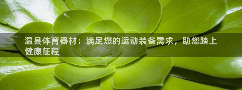耀世平台的运营模式：温县体育器材：满足您的运动装备需
