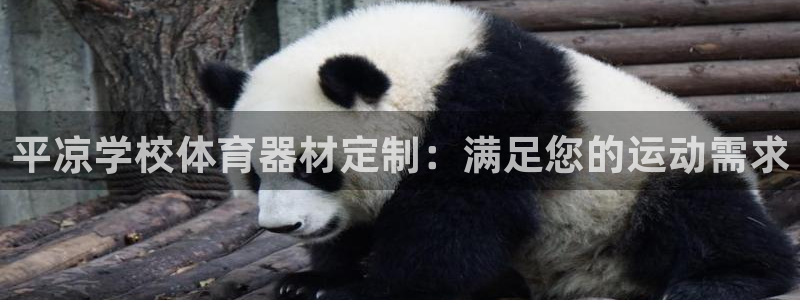 耀世开放什么意思：平凉学校体育器材定制：满足您的运动