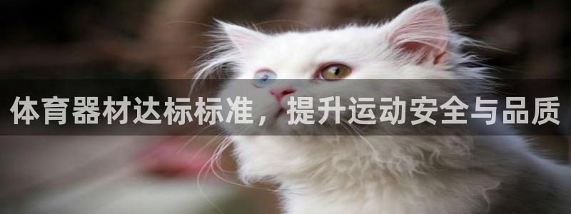 耀世微光 歌词：体育器材达标标准，提升运动安全与品质