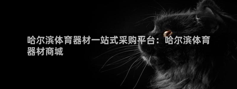 耀世娱乐登录注册：哈尔滨体育器材一站式采购平台：哈尔