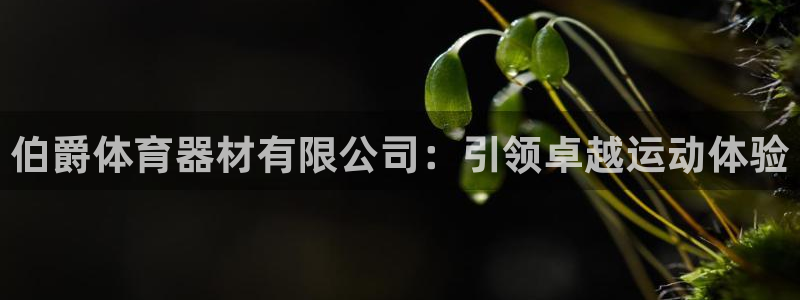 耀世x4：伯爵体育器材有限公司：引领卓越运动体验