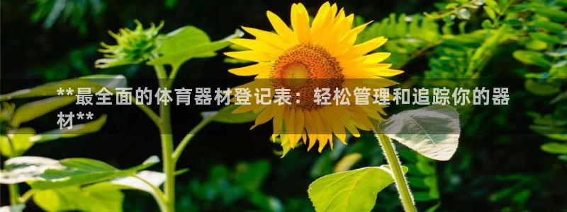 耀世娱乐登录地址在哪看：**最全面的体育器材登记表：