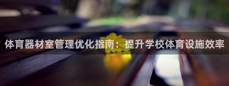 耀世燃气灶是哪个牌子：体育器材室管理优化指南：提升学