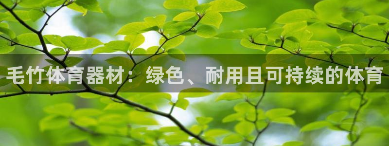 耀世平台：毛竹体育器材：绿色、耐用且可持续的体育