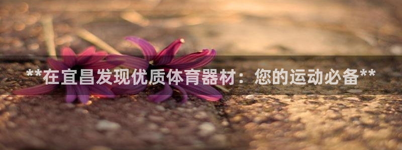 哪吒s耀世版价格：**在宜昌发现优质体育器材：您的运