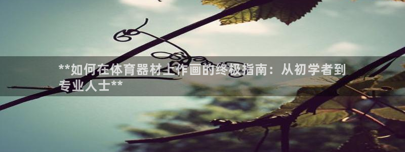 耀世令是什么：**如何在体育器材上作画的终极指南：从