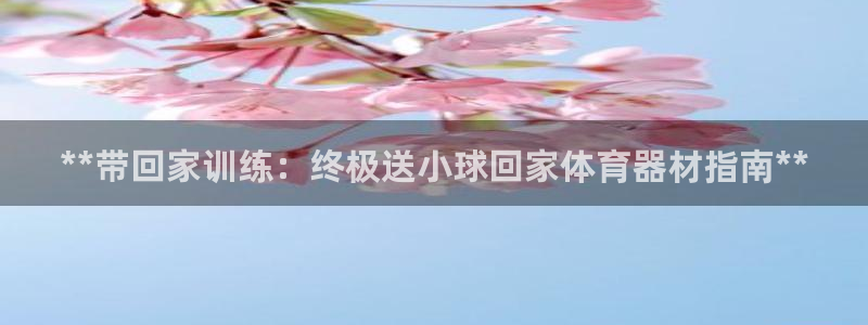 耀世娱乐总代理是谁：**带回家训练：终极送小球回家体