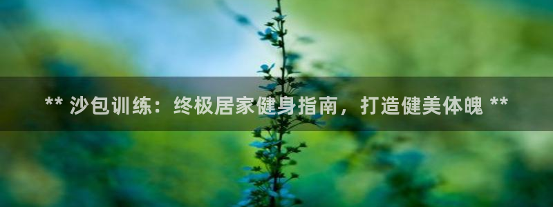 耀世集团视频介绍下载：** 沙包训练：终极居家健身指