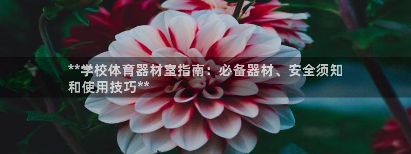 耀世娱乐在线登录官网入口手机版：**学校体育器材室指