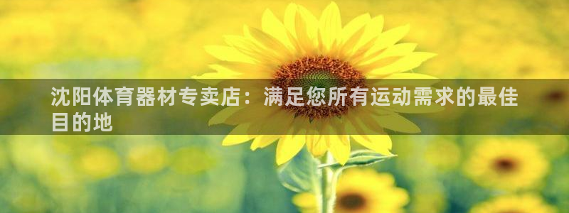耀世娱乐登陆地址查询：沈阳体育器材专卖店：满足您所有