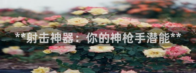 耀世平台关7O777：**射击神器：你的神枪手潜能**