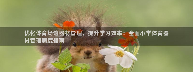 耀世平台总代理：优化体育场馆器材管理，提升学习效率：