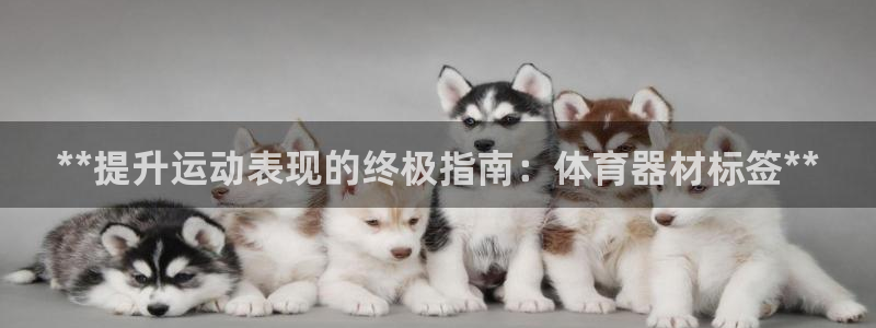 耀世的意思是什么：**提升运动表现的终极指南：体育器材标签*
