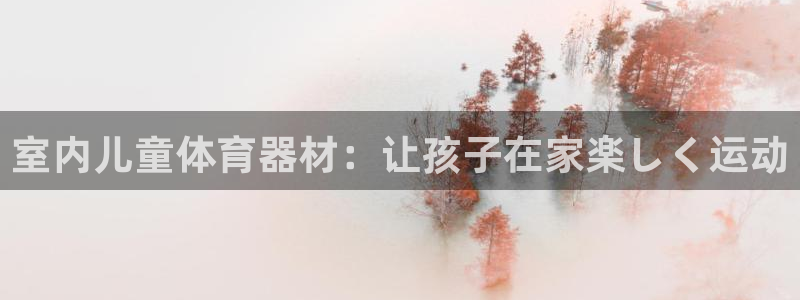 耀世娱乐的494o3 主管：室内儿童体育器材：让孩子