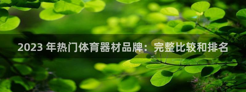耀世娱乐软件下载安装：2023 年热门体育器材品牌：