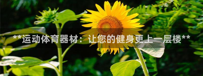 耀世平台推 411o31 耀世：**运动体育器材：让