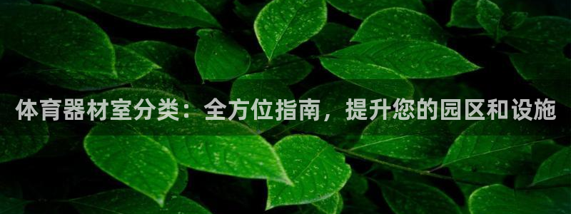 耀世娱乐官网网站：体育器材室分类：全方位指南，提升您