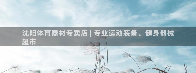 耀世平台华 5O6917 平台：沈阳体育器材专卖店 