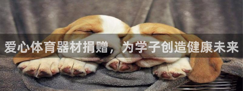 耀世什么意思：爱心体育器材捐赠，为学子创造健康未来