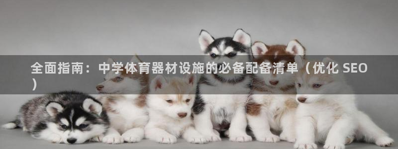 耀世歌曲：全面指南：中学体育器材设施的必备配备清单（