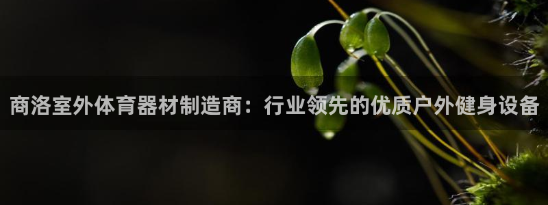 耀世平台皮皮虾怎么样：商洛室外体育器材制造商：行业领