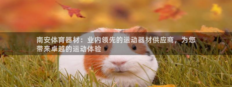 耀世娱乐注册入口：南安体育器材：业内领先的运动器材供