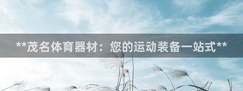 耀世登场后面一句：**茂名体育器材：您的运动装备一站