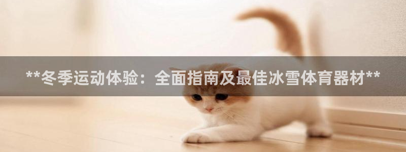 耀世天下是什么意思啊：**冬季运动体验：全面指南及最