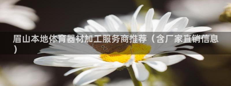 耀世平台代理多少钱一个：眉山本地体育器材加工服务商推荐（含厂